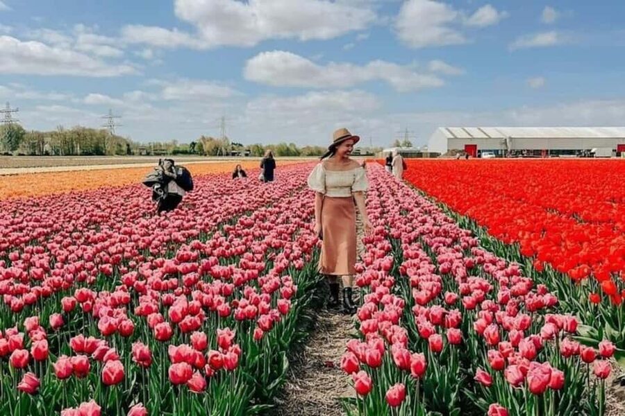 Amsterdam: Tulip Farm Visit, Keukenhof, and Windmill Cruise - Photo Stops and Field-Walk Timing: How the Tour Avoids Time-Wasters