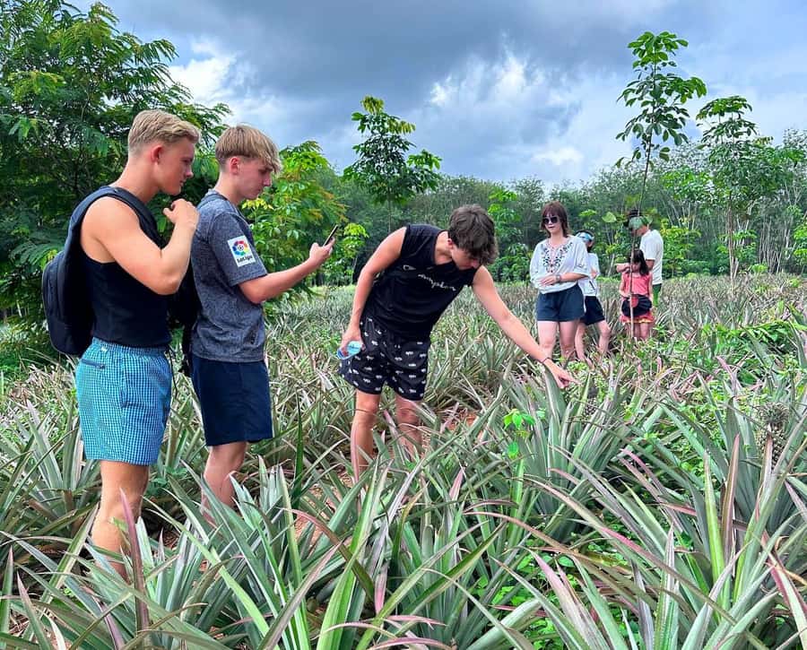 Ao Nang: Crystal Pool Kayaking, ATV, and Pineapple Farm Tour - Timing and Logistics: Where the Day’s Minutes Really Go