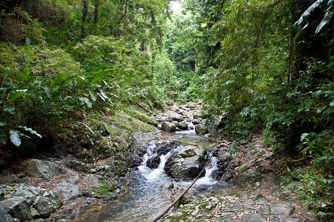 Argyle Waterfall with Adventure Farm - Why Argyle Waterfall plus Adventure Farm is such a smart pairing