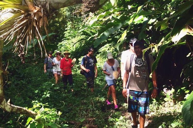 Argyle Waterfall with Adventure Farm - What you learn on the walk: tree spotting, birds, and the forest texture