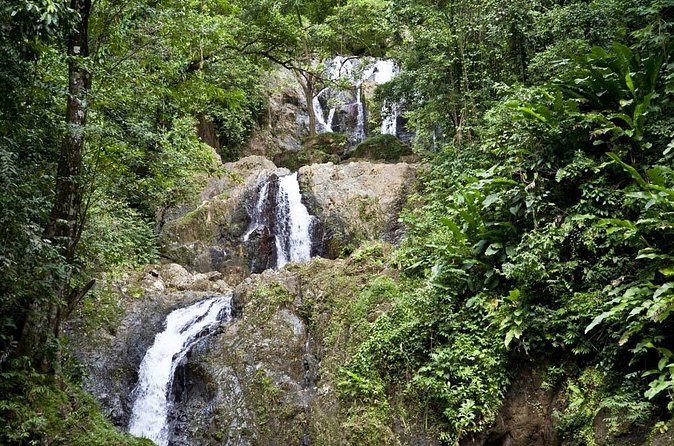 Argyle Waterfall with Adventure Farm - Adventure Farm and Nature Reserve in Arnos Vale: how the hummingbird viewing works