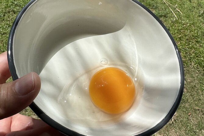 Aroidee’s Farm-Fresh Thai Cooking Experience - Harvesting herbs, collecting eggs, and feeding the farm animals
