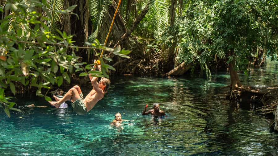 Arusha or Moshi : Hot Spring, Waterfall & Coffee Farm Tour - Pickup From Arusha or Moshi: what to expect from the drive