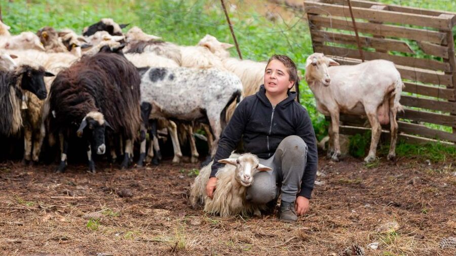 Arzana: Day with a shepherd w/ lunch in a farm - Key highlights at a glance