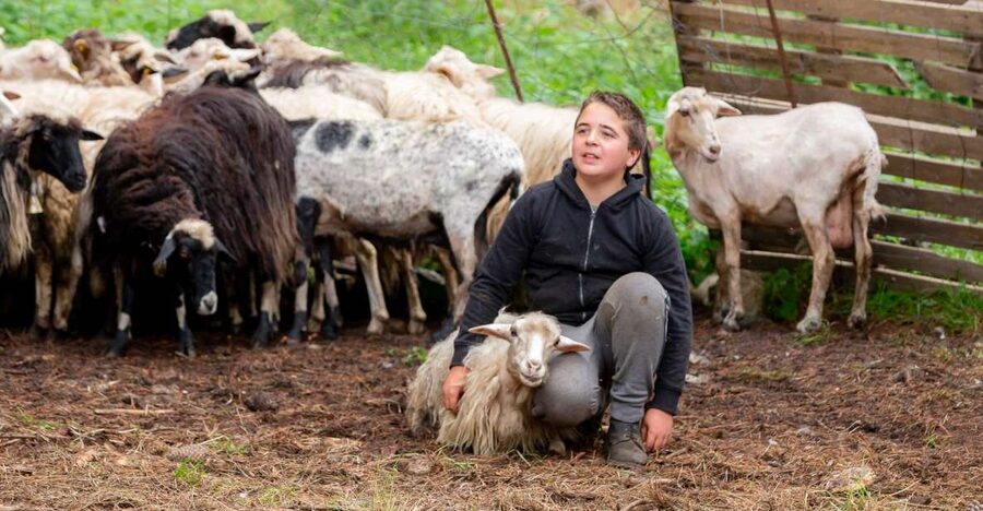 Arzana: Day with a shepherd w/ lunch in a farm - Lunch in centenarian country: what you’ll eat