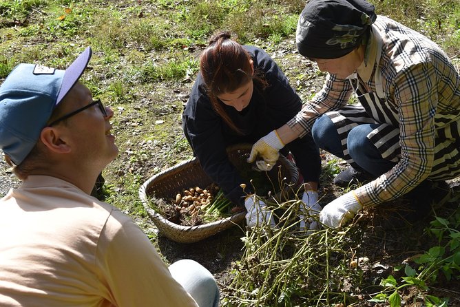 Aso Caldera and Farm Experience Tour - Tateiwa Suigen Park and the countryside shift
