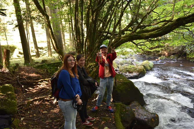 Aso Caldera and Farm Experience Tour - Cooking and lunch: simple, local, and shared