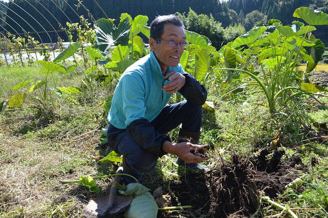 Aso Caldera and Farm Experience Tour - Weather rules: the one thing that can change your day