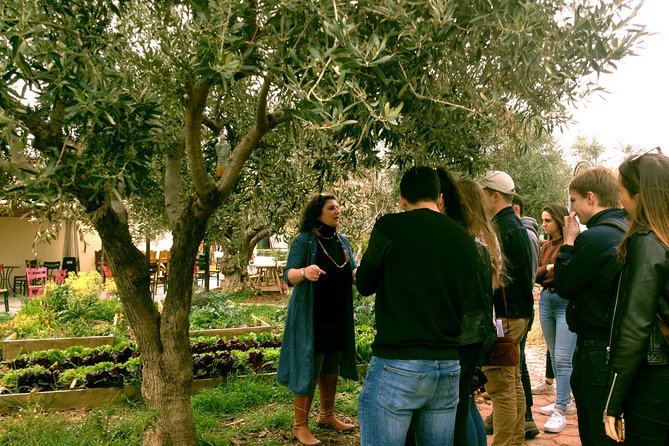ATHENS OLIVE ESTATE - Olive Oil Workshop with Farm-to-Fork Lunch - Price and What You’re Getting for $568.31