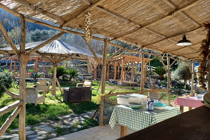 Authentic Farm Tour with Pizza, Cheese, Wine & Limoncello Tasting - Entering Primaluce: the hillside farm day that beats a standard tour