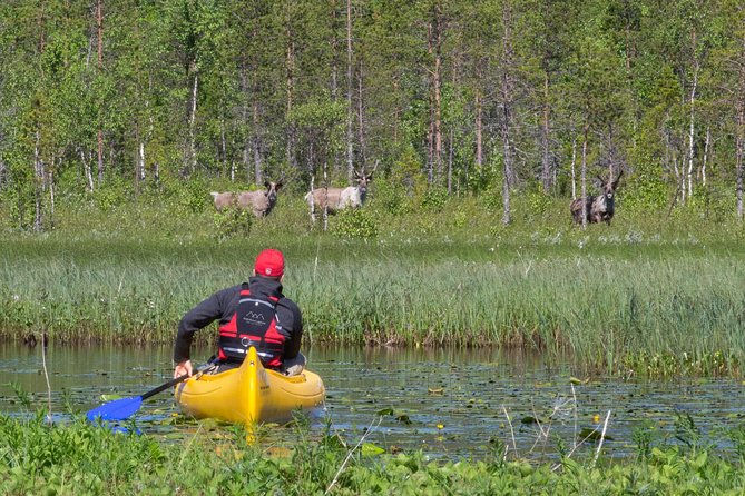 Authentic Reindeer Farm and Canoe Experience from Rovaniemi - Traditional reindeer farm just outside Rovaniemi