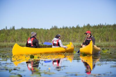 Authentic Reindeer Farm and Canoe Experience from Rovaniemi - Feeding lichen: the hands-on moment that sticks