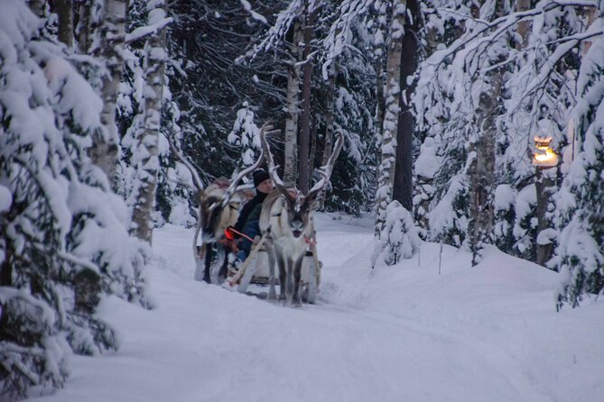 Authentic Reindeer Farm Experience in Rovaniemi - Why the small group size (max 8) makes a real difference