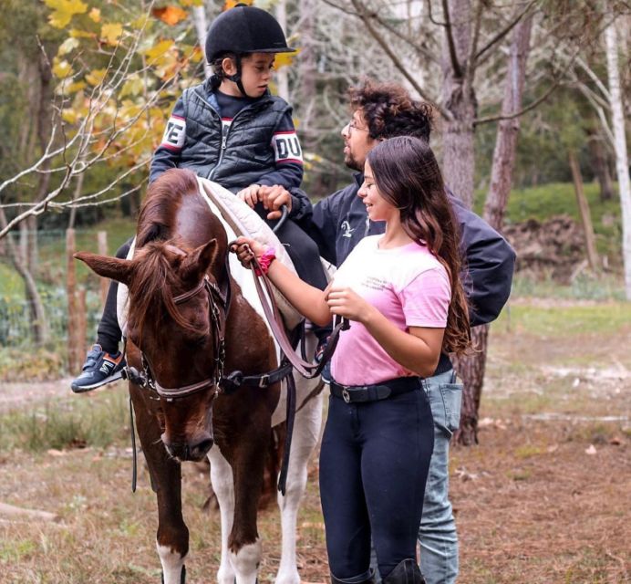 Aveiro: Horseback Riding at a Pedagogical Farm - The instructor experience: calm horses, clear teaching, and a real connection