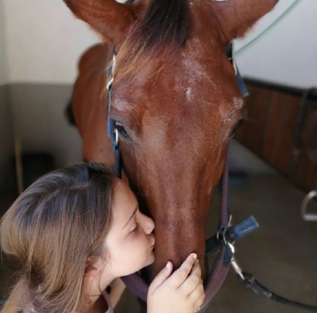 Aveiro: Horseback Riding at a Pedagogical Farm - What’s included (and what you must plan for yourself)