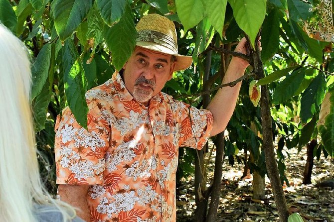 Award Winning Farm Tour: Coffee, Chocolate and Unique Gifts - Ocean views above Kona set the tone fast