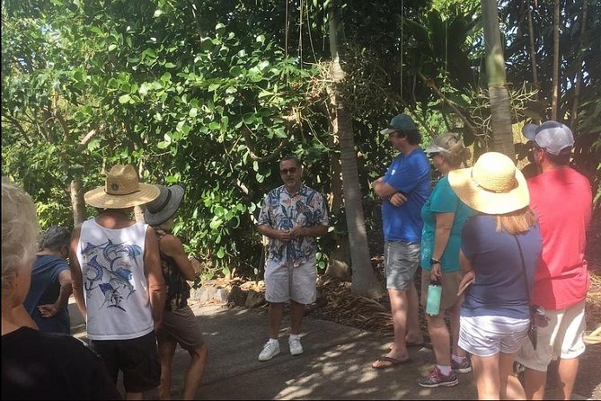Award Winning Farm Tour: Coffee, Chocolate and Unique Gifts - The tastings: chocolate and Kona coffee you can actually connect to the plants