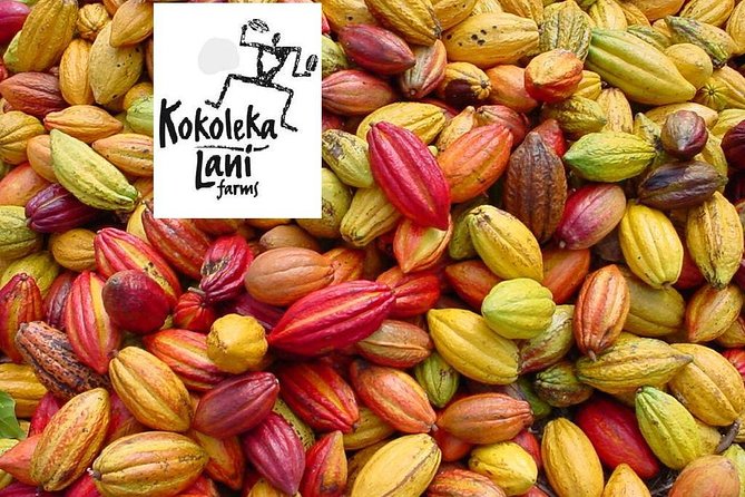 Award Winning Farm Tour: Coffee, Chocolate and Unique Gifts - Who should book this Kona farm tour (and who might want to think twice)