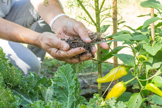 Award winning "From Farm to Table, A Culinary Day in Lyon" - Price and Value: Is $782.67 Per Person Worth It?