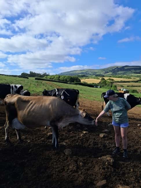 Azores: Dairy Farm Tour - Why this dairy farm tour in Terceira feels real
