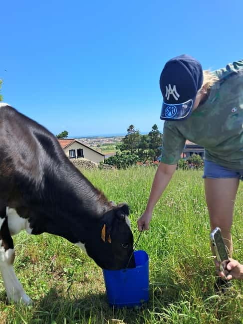 Azores: Dairy Farm Tour - The milk collection station: where fresh becomes system