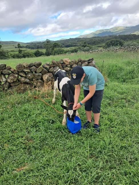 Azores: Dairy Farm Tour - The complimentary taste: a small meal with big context