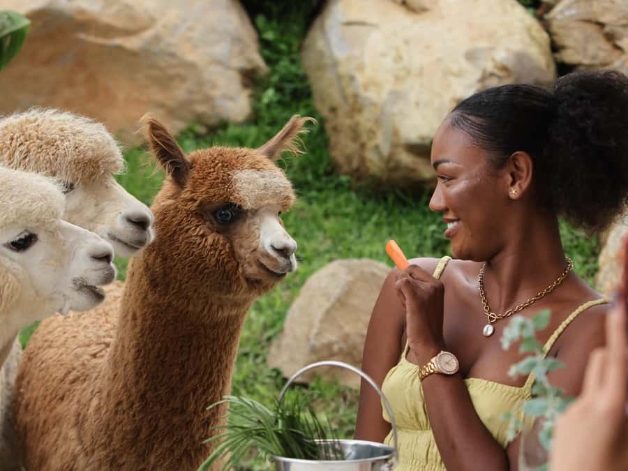 Bali: Farm House Experience with Entry Ticket & Options - The flow on arrival: what happens after you reach Bali Farm House