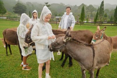 Bali: Farm House Experience with Entry Ticket & Options - Tickets, food credit, and what the $7 admission really covers