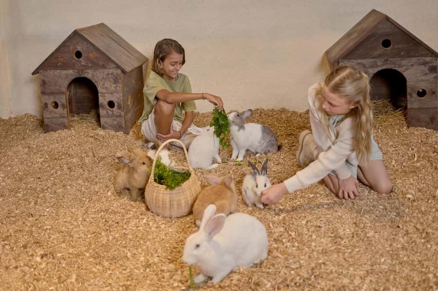 Bali: Farm House Experience with Entry Ticket & Options - The outdoor playground for kids: a real parent win