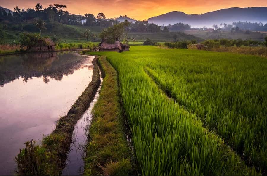 Bali: Traditional Villages, Salt Farm & Tirta Gangga Tour - Weather and Comfort: The Small Things That Save the Day