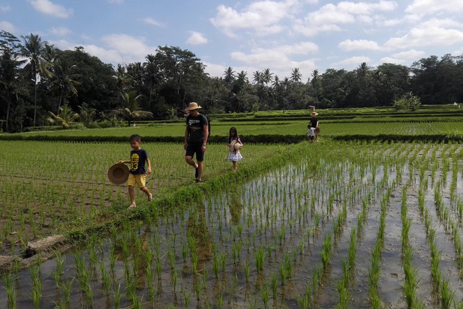 Balinese Cooking Class at Organic Farm - Mai Organic Farm near Pejeng: Why This Location Beats the Usual Cooking Class