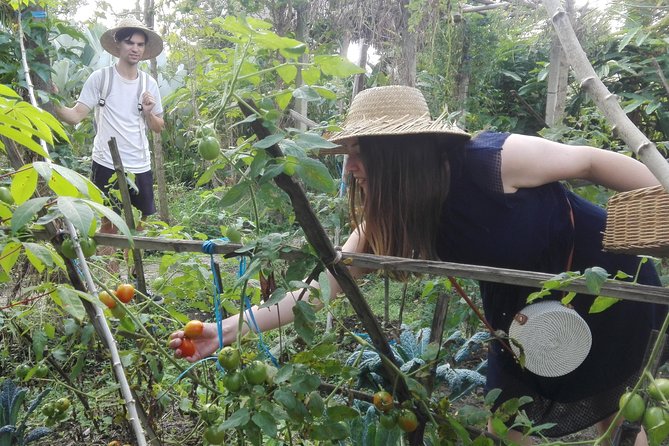 Balinese Cooking Class at Organic Farm - What You’ll Drink Before You Cook