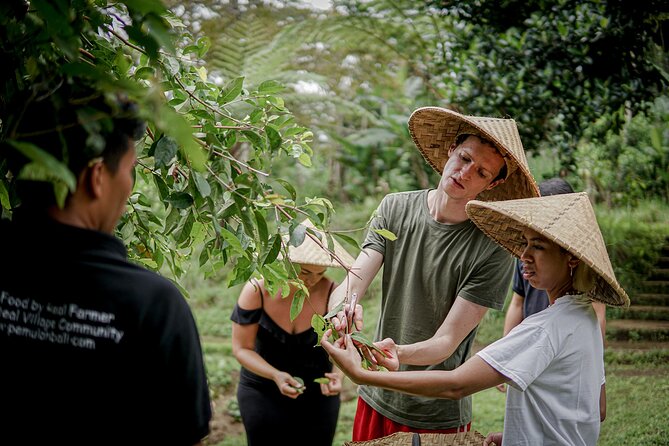 Balinese Farm Cooking Class by Pemulan Bali - Why Pemulan Bali Turns Ubud into a Farm-to-Table Classroom