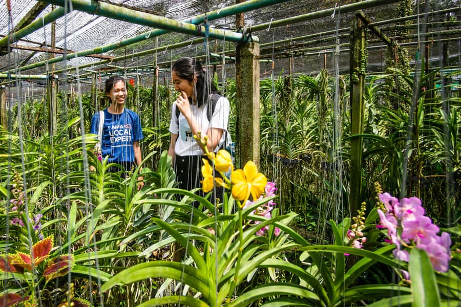 Bangkok Floating Market & Boat Ride to an Orchid Farm - Key Highlights at a Glance