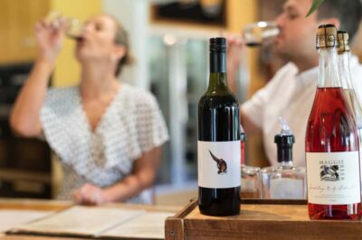 Barossa Valley: Pheasant Farm Wine Tasting Experience - The 30-minute tasting: what you’ll actually experience