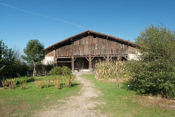 " Basque Farm House & Cider house" tour + meal from San Sebastian - The Traditional Cider-House Menu: Filling, Not Fussy