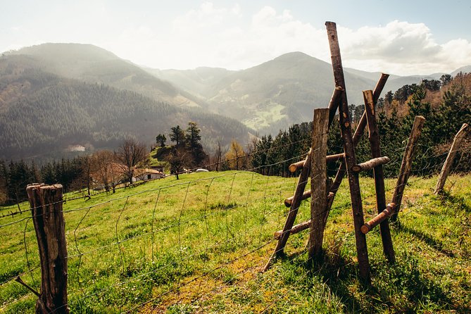 " Basque Farm House & Cider house" tour + meal from San Sebastian - Group Size, Meeting Point, and Timing That Keep It Relaxed