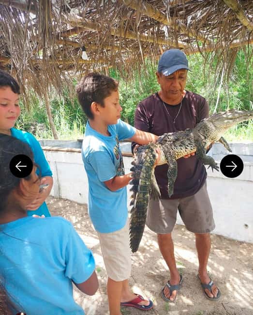 .Beach Horse Riding Turtle Release Crocodile Farm Experience - Getting There: The Acapulco Pickup to Vallarino Turtle Camp