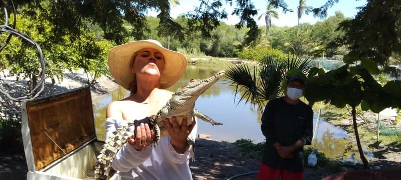 .Beach Horse Riding Turtle Release Crocodile Farm Experience - The Afro-Mexican Village Stop: Culture Before the Ride