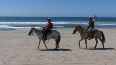 .Beach Horse Riding Turtle Release Crocodile Farm Experience - Beach Horseback Riding Along a Paradise-Like Stretch of Coast