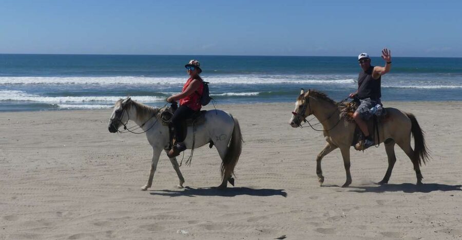 .Beach Horse Riding Turtle Release Crocodile Farm Experience - Crocodile Farm Visit: Learning About Prehistoric Reptiles
