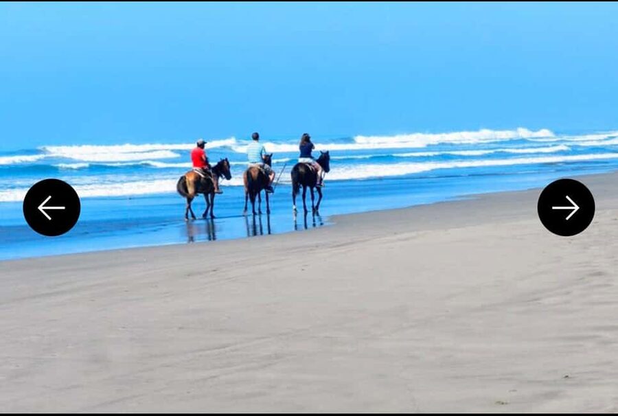 .Beach Horse Riding Turtle Release Crocodile Farm Experience - Photo Tips for the Pacific Views and Turtle Moment
