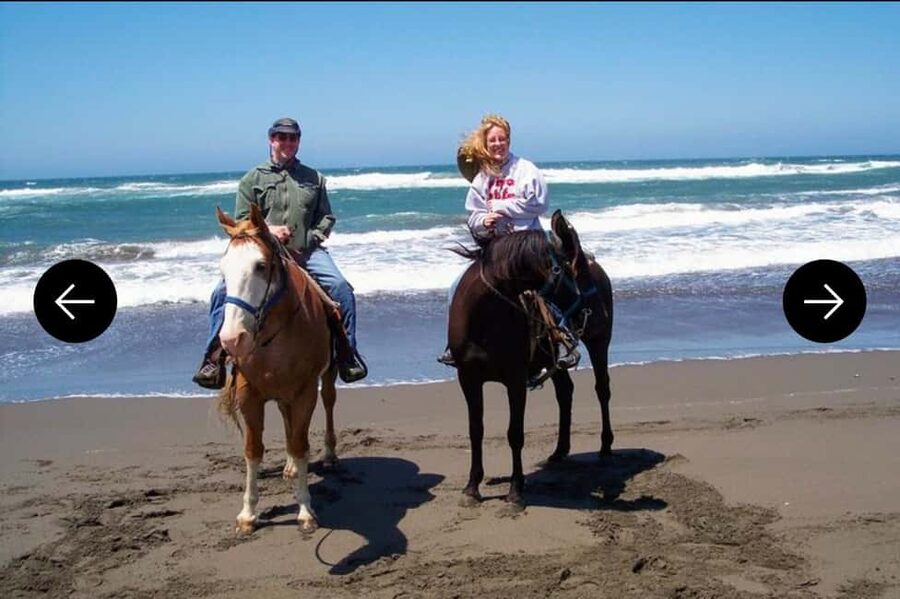 .Beach Horse Riding Turtle Release Crocodile Farm Experience - Guides and Group Size: Why Small Feels Better Here