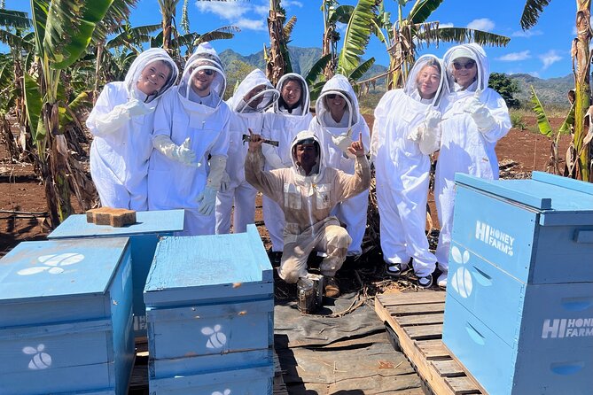 Bee Farm Ecotour and Honey Tasting in Waialua, North Shore Oahu - Waialua on Oahu: a down-to-earth place to meet bees