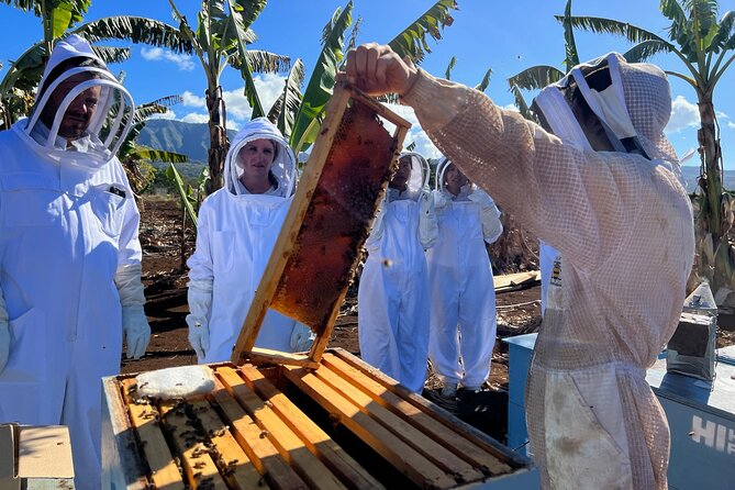Bee Farm Ecotour and Honey Tasting in Waialua, North Shore Oahu - Holding a raw honeycomb frame: the moment that sticks with you