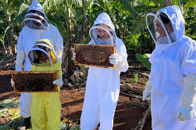 Bee Farm Ecotour and Honey Tasting in Waialua, North Shore Oahu - Honey tasting at the end: raw vs infused and how to enjoy it