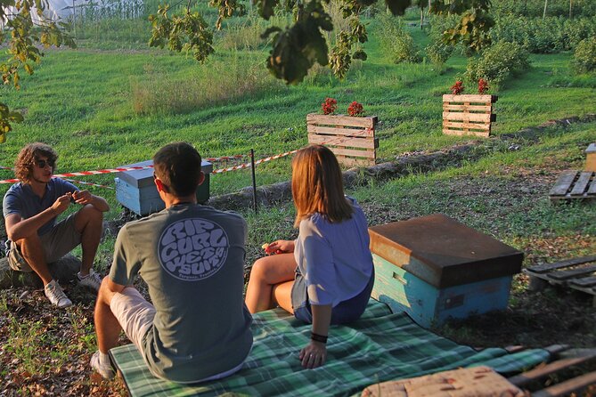 Beekeeping Farm Tour and Tasting Experience in Lazise - Colà and Lazise countryside: the route is part of the experience