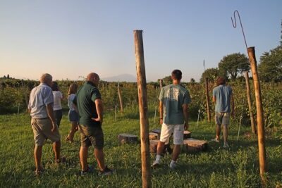 Beekeeping Farm Tour and Tasting Experience in Lazise - Walking a working farm, not a staged set