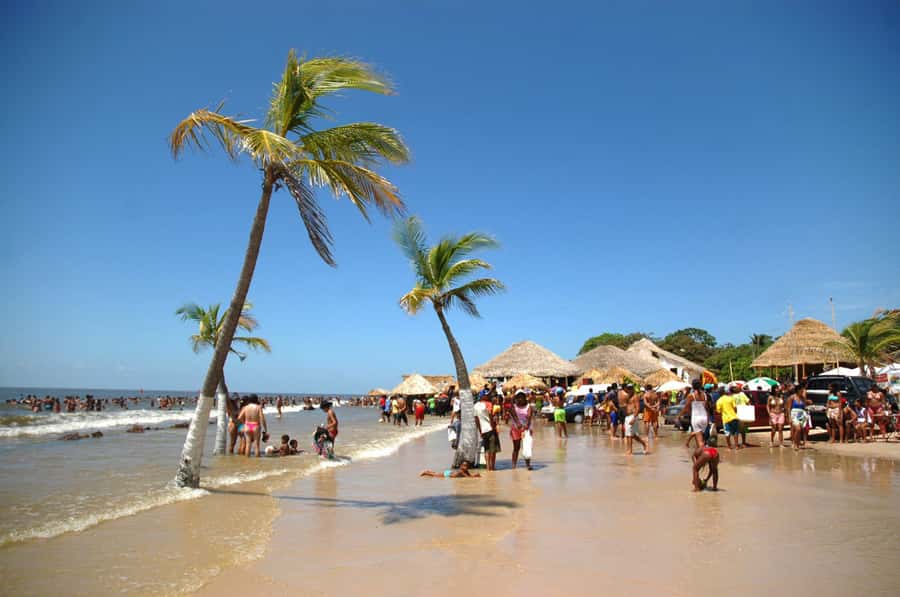 Belém: Marajó Island Day Trip with Buffalo Farm Visit - Key things to know before you go
