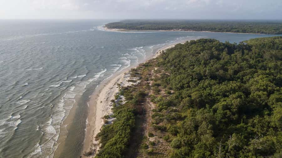 Belém: Marajó Island Day Trip with Buffalo Farm Visit - Buffalo farm visits: what you’ll actually learn, and how to manage expectations